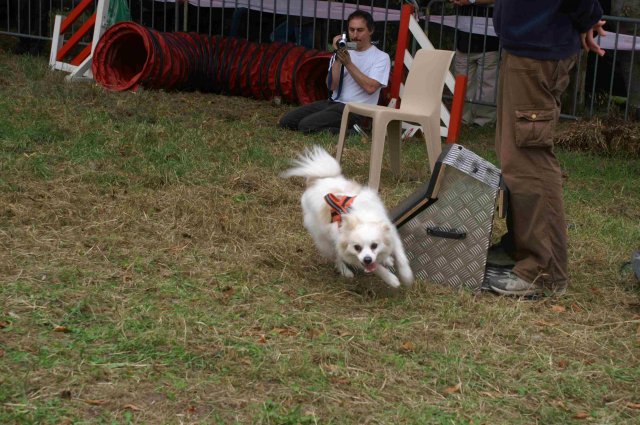 foire-haricots 2011-09-17et18